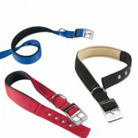 DAYTONA C40/63 COLLAR BLACK