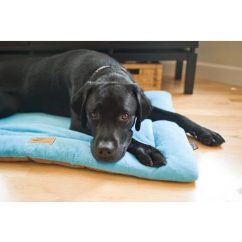  PLAY CHILL PAD BLUE SMALL 