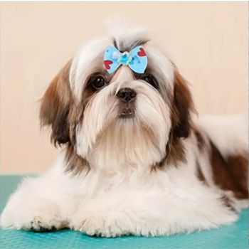  Hair Ribbon For Dog And Cat With Shiny Diamond And Elastic 2x Blue 