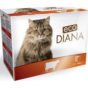  Eco Diana Complete Food for Cats, 12 Pouches of 100g, Chunks with Beef in Gravy 