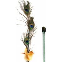 Nutrapet Peek A Boo Cat Wand 46cm