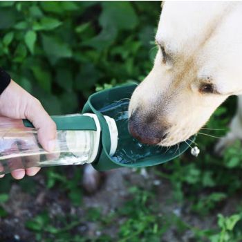  Leaf Travel Water Bottle Green 