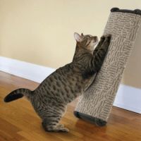 Omega Paw Lean It Scratching Post 19"