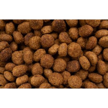  Virbac HPM Kitten Pre Neutered – Balanced Dry Kitten Food 1.5Kg 