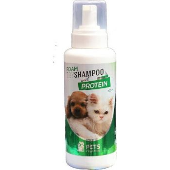 Pets Republic Cats & Dogs Foam Dry Shampoo With Protein - 520ml Buy, Best  Price in UAE, Dubai, Abu Dhabi, Sharjah