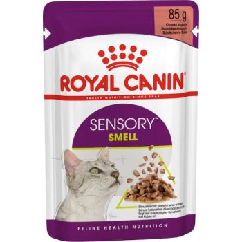  Royal Canin Sensory Smell Gravy 85g 