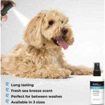  Groom Professional Blue Lagoon Cologne[Perfume]-Sweet Breeze Scent-200ml 