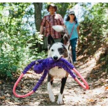  Zippypaws Monkey RopeTugz® - Purple 