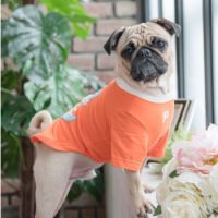 Lovely Doggy Para-TS1502-LT Medium