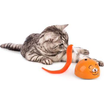  All For Paws Modern Cat - Mad Mouse 