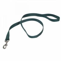 Coastal 1" Dog Lead Hunter Green 4 Feet Long 1" Wide