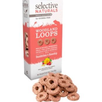  Selective Naturals Woodland Loops for Guinea Pigs 