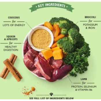  Lily's Kitchen Dog Tagine Wet Food 150G 