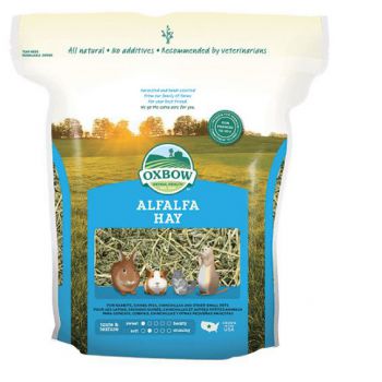  Oxbow Alfalfa Hay for Small Animals, 15oz 