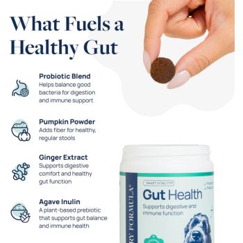  Synergy Labs Veterinary Formula Gut Health Formulated Probiotic Chews Supplement for Dogs – 225g [Count - 60] 