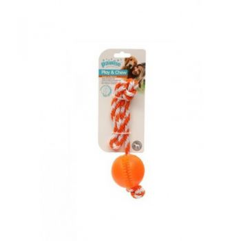  PAWISE PLAY&amp;CHEW DOG TOY (8886467545580) 