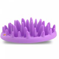 COA Catch Interactive Feeder