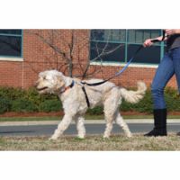ThunderLeash S