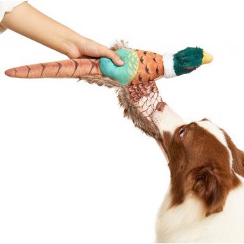  FOFOS Pheasant Plush Dog Toys 