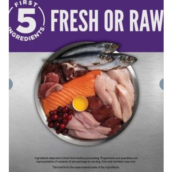  Orijen Large Breed Dry Dog Food - 11.4KG 