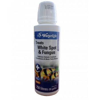  WATERLIFE (Protozin 250ml) TREATS WHITE SPOT &amp;FUNGS 