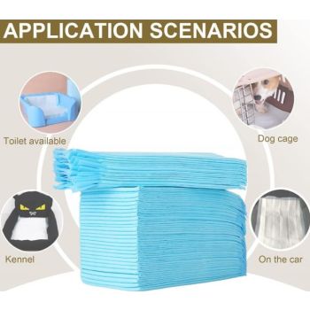  Paw Expert Economical Training Pee Pads For Dogs and Cats with ADHESIVE STRIPS - 60x45cm- 30pcs 