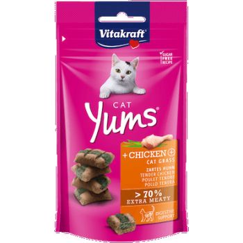  Vitakraft Yums Chicken and Cat Grass 