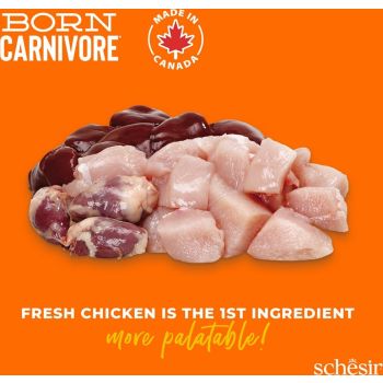  Schesir Born Carnivore Grain Free Oven Baked Dry Cat Chicken & Egg 1.25kg 