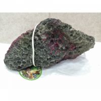 AQUARIUM DECORATION CO007
