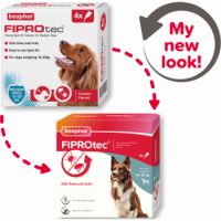 Fiprotec for Medium Dog - 4 Pipettes (EXP: AUG 21 2025) - 4PCS LEFT