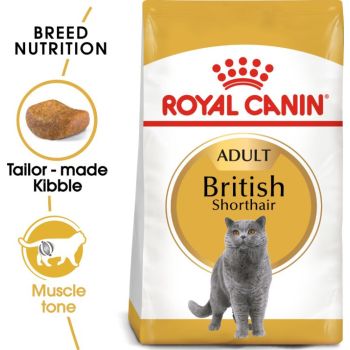 Royal Canin  British Shorthair 10 kg 