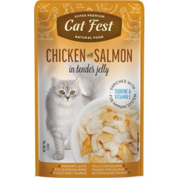  Cat Fest Chicken With Salmon In Tender Jelly For Cats 70g 