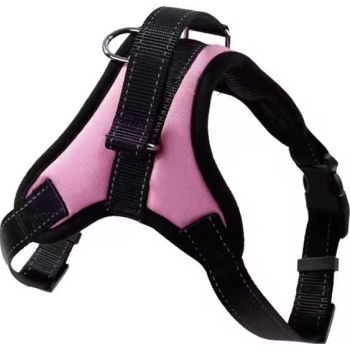  Saas Oxford Harness Pink EXTRA Large 