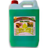 Clean Glow Animal Shampoo For Cats And Dogs Green Apple 5L