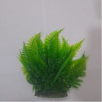 Sea Star Aquarium Plant PLT458M
