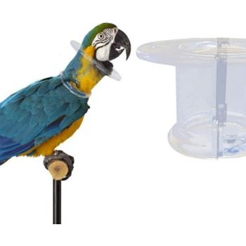  Recovery Bird Collar Pet Parrot Anti-Bite 