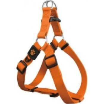  DOCO® Signature H-Harness (DCSN201)[Size - S, Color - Safety Orange 