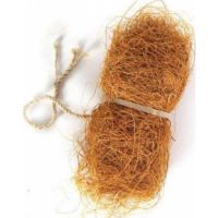 Prevue Tropical Teasers Coco Bundles