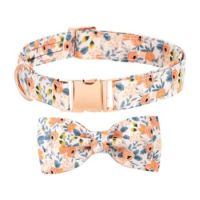 Saas Pet Collar With Bowknot Medium M 2.0*31-50