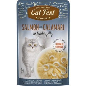  Cat Fest Salmon With Calamari In Tender Jelly For Cats 70g 