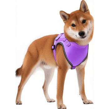  Panda Adjustable harness Purple S 49x67cm 