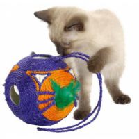 TETE A TETE ORANGE TU