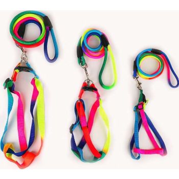  SAAS HARNESS + LEASH SET RAINBOW 10MMX120CM 