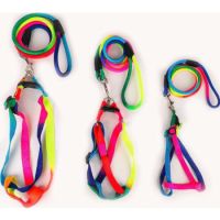 SAAS HARNESS + LEASH SET RAINBOW 10MMX120CM