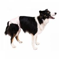 Pooch Pad POOCHPANTS REUSABLE DOG DIAPER MEDIUM PINK 15