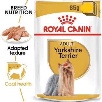  Royal Canin Yorkshire Adult 85g 