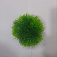 Sea Star Aquarium Plant PLT456M