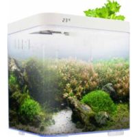 KW Zone Dophin 7L Mini Betta Tank Kit with Temperature Display