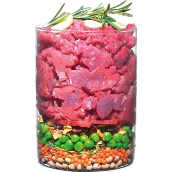  Carnilove True Fresh Beef for Adult Dogs 1.4kg 