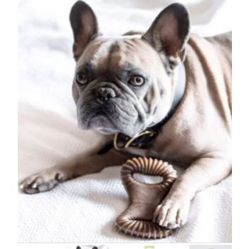 Benebone Dental Dog Chew Toy – Peanut Small 